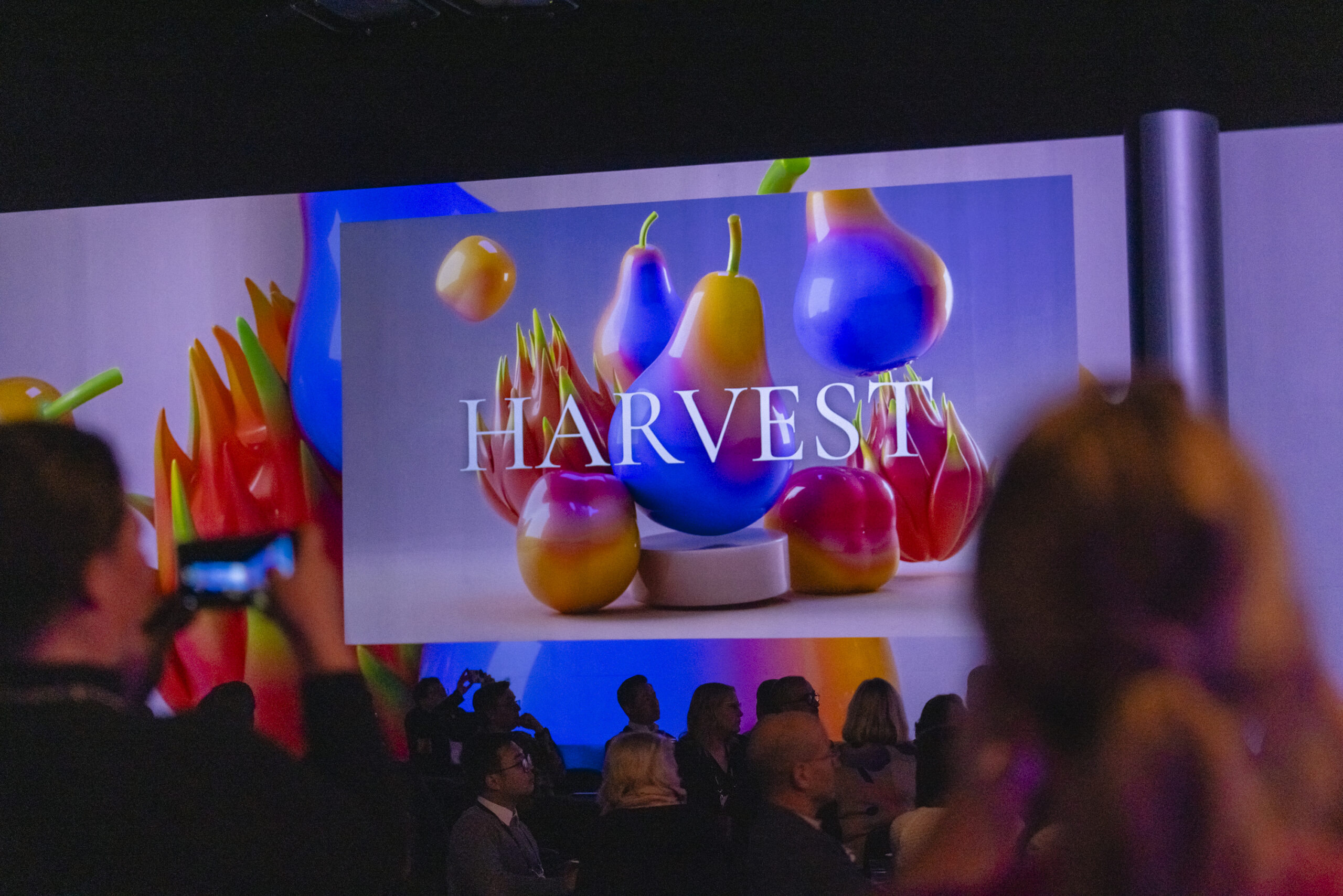 Being clueless and nailing it - Harvest 2025 highlights